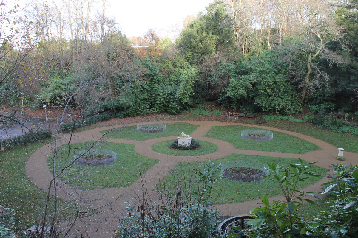 garden with new roses planted by FoD on 28 Nov